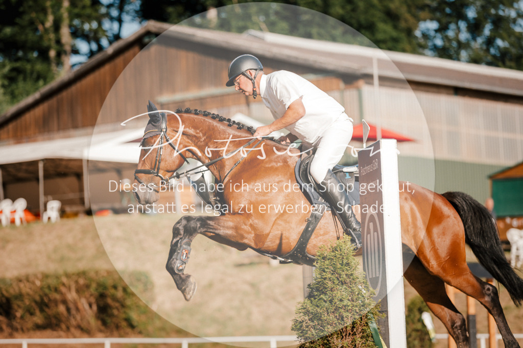 3I6A6031 | Stimmungsvolle Portraits und Reitsportfotografie im Ruhrgebiet und im Münsterland.

Pferdefotografie, Hundefotografie, Tierfotografie, Reportagen, Portraits von Tier und Mensch, Turnierfotografie in Bochum, Recklinghausen, Marl, Haltern am See, Dülmen.. - Realisiert mit Pictrs.com