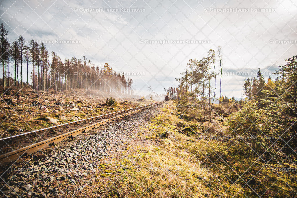 DSC06662 | ikphotography - Realisiert mit Pictrs.com