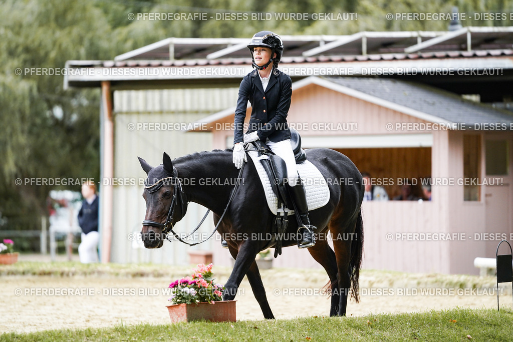 DSC09593 | Pferdegrafie