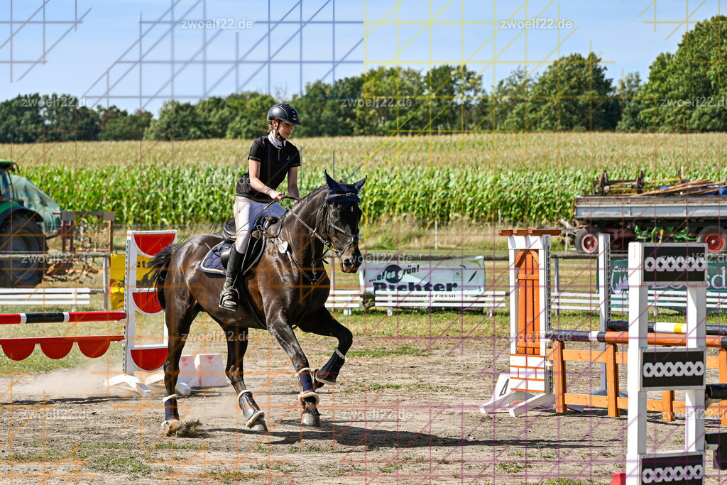 30 Jahre RFV Pulsnitz e.V., Pulsnitz am 09.08.2026 | Zur 28. breitensportlichen Veranstaltung des RFV Pulsnitz e.V. fanden verschiedene Wettbewerbe in nahezu allen Disziplinen des Pferdesport statt. - 06 Standard-Spring-Wettbewerb - Realisiert mit Pictrs.com