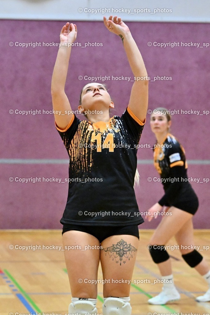 ASKÖ Volley Eagles vs. SSV HIB Volley 21.1.2024 | #14 Elwira CEHIC