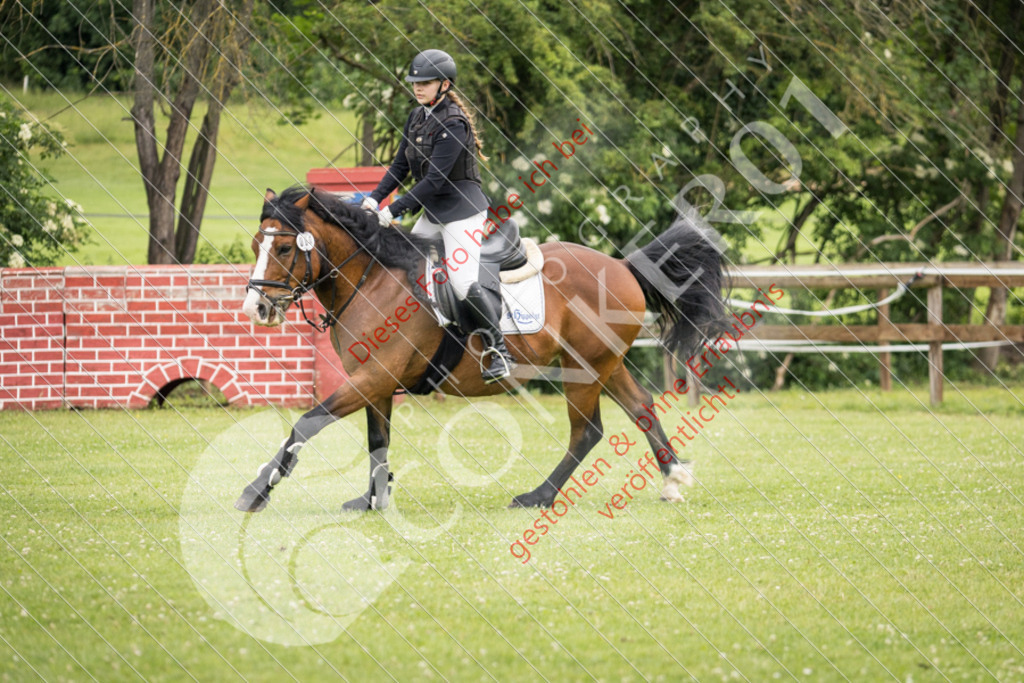 IMG_2290 | Sport-, Event- und Tierfotos in Profiqualität. Einfach auswählen, bestellen und herunterladen. Dein Moment – perfekt festgehalten.