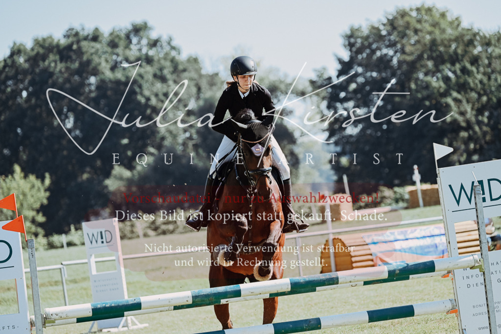 DSC_5625 | Pferde- und Turnierfotografie in Westsachsen. Pferdeportraits, Auftragszeichnungen und intuitive Kunst.