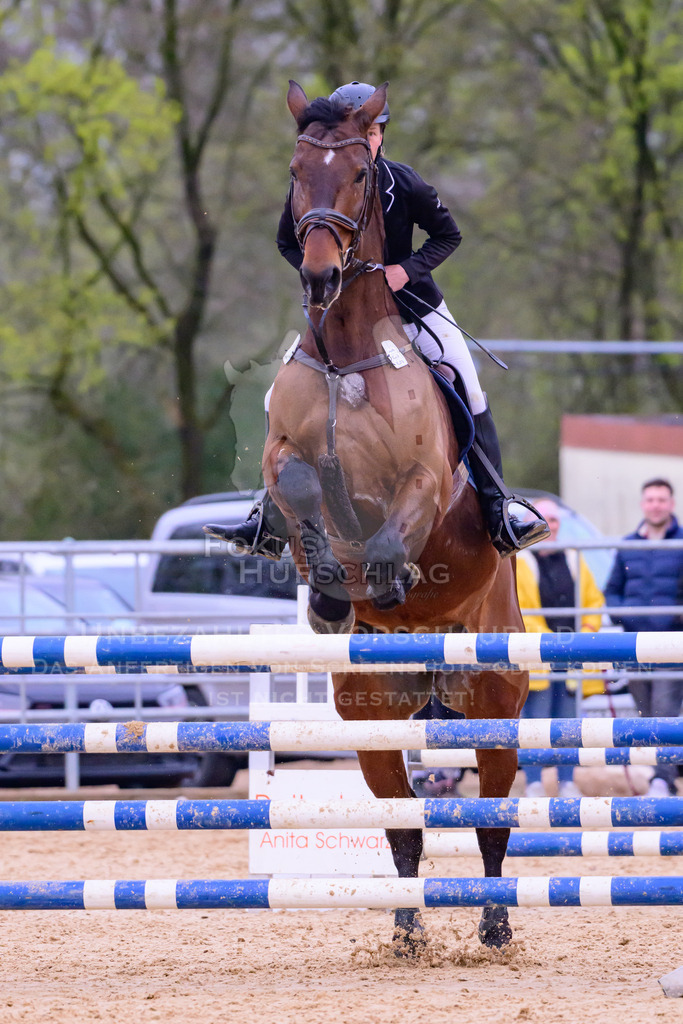 10042026-Mammendorf-Prfg19-0548 | Fokus Hufschlag Fotografie - Realisiert mit Pictrs.com