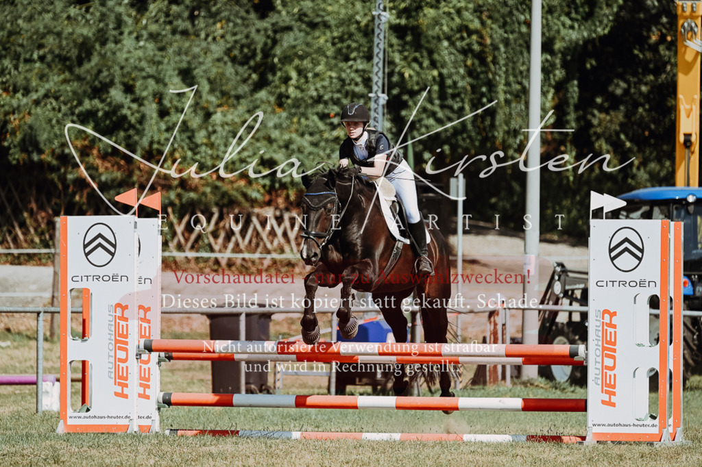 DSC_9710 | Pferde- und Turnierfotografie in Westsachsen. Pferdeportraits, Auftragszeichnungen und intuitive Kunst.