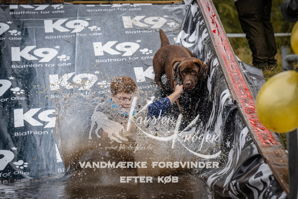 1211_ZZ94639 | kk-dogfotos