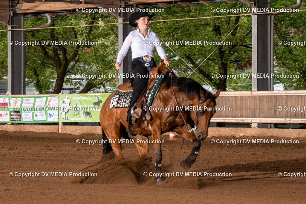 Erbach Tag 2-1048 | dv-media-shop - Realisiert mit Pictrs.com