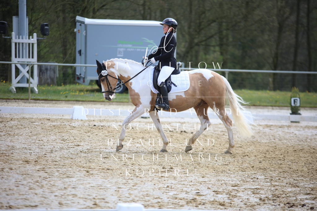 IMGT4187 | pl-fotografie