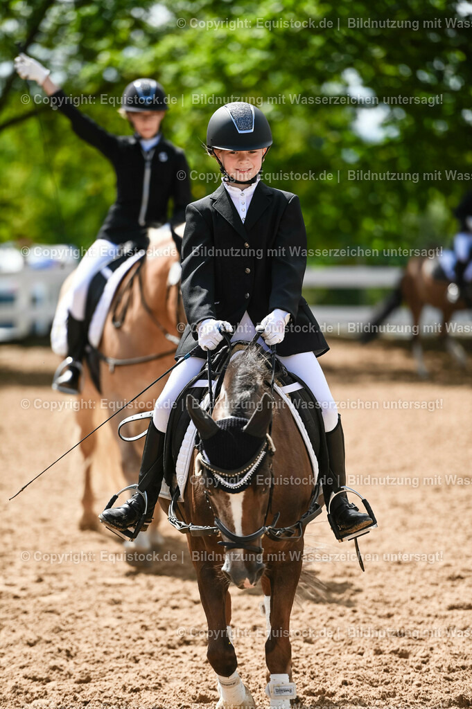 20230716_10-3_Reiter-WB Schritt - Trab - Galopp_0023 | equistock