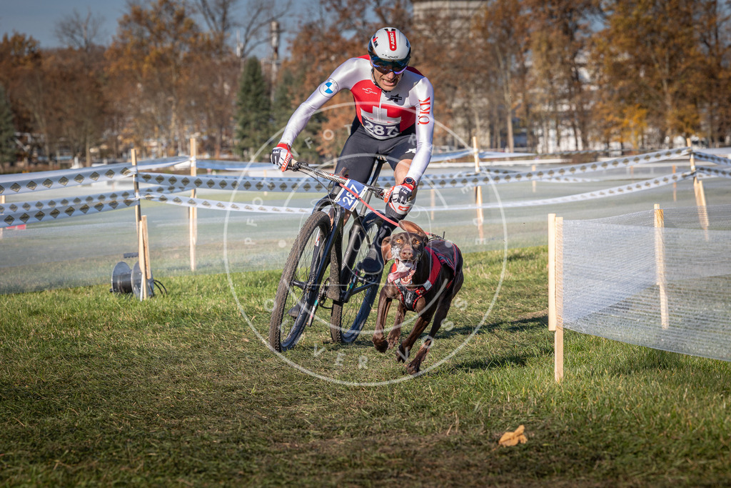CaniXpix_0L8A5310 | Hundefotografie, Tierfotograf, Pfotenfotografie, Fotoshooting Hund, Hunde Portrait, Hundesport, Hundeportraits, Heideshooting, Hunde, Sportfotograf, Hundefotograf, Turnierhundsport, THS,  - Realisiert mit Pictrs.com