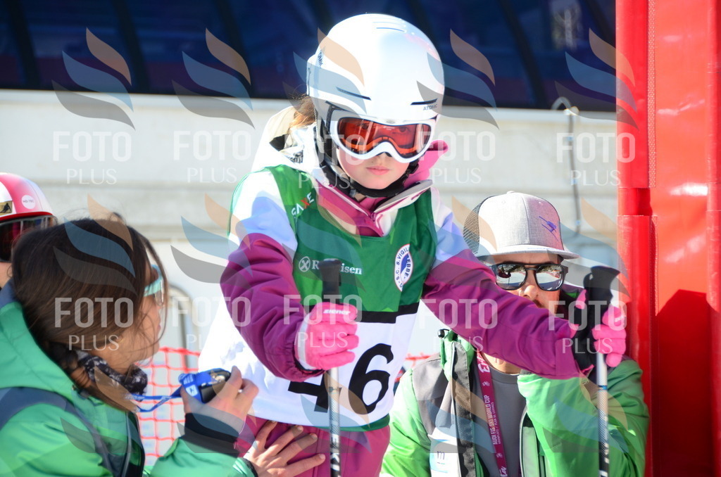 C5119 | holidayphoto