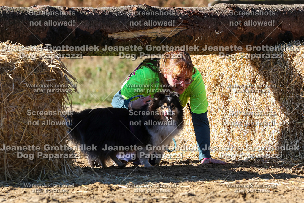 Dog Paparazzi - Strongdog 10-25-2470 | Dog Paparazzi Jeanette Grottendiek Fotografie & Videografie - Realisiert mit Pictrs.com