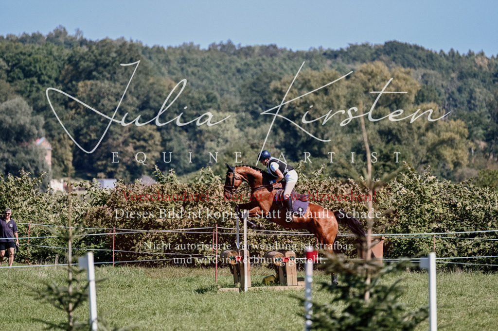 DSC_1973 | Pferde- und Turnierfotografie in Westsachsen. Pferdeportraits, Auftragszeichnungen und intuitive Kunst.