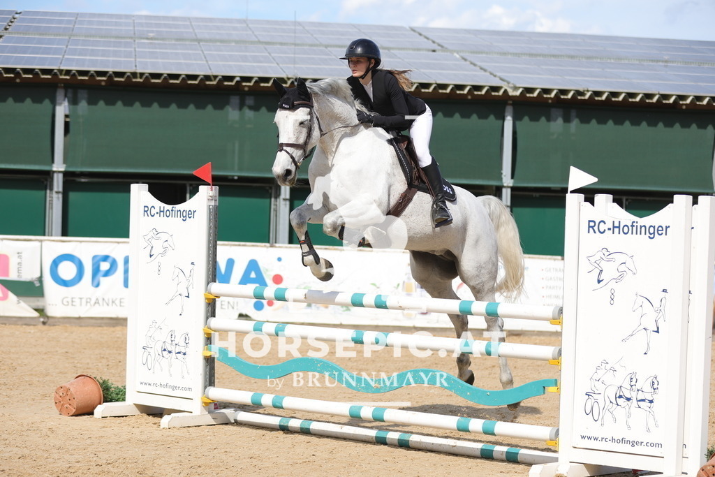 0P6A9308 | Willkommen bei Brunnmayr - Design & Fotografie – Ihrem Spezialisten für Reitturniere und Pferdeveranstaltungen in Oberösterreich, Salzburg und Bayern! Seit über 17 Jahren sind wir leidenschaftlich dabei.