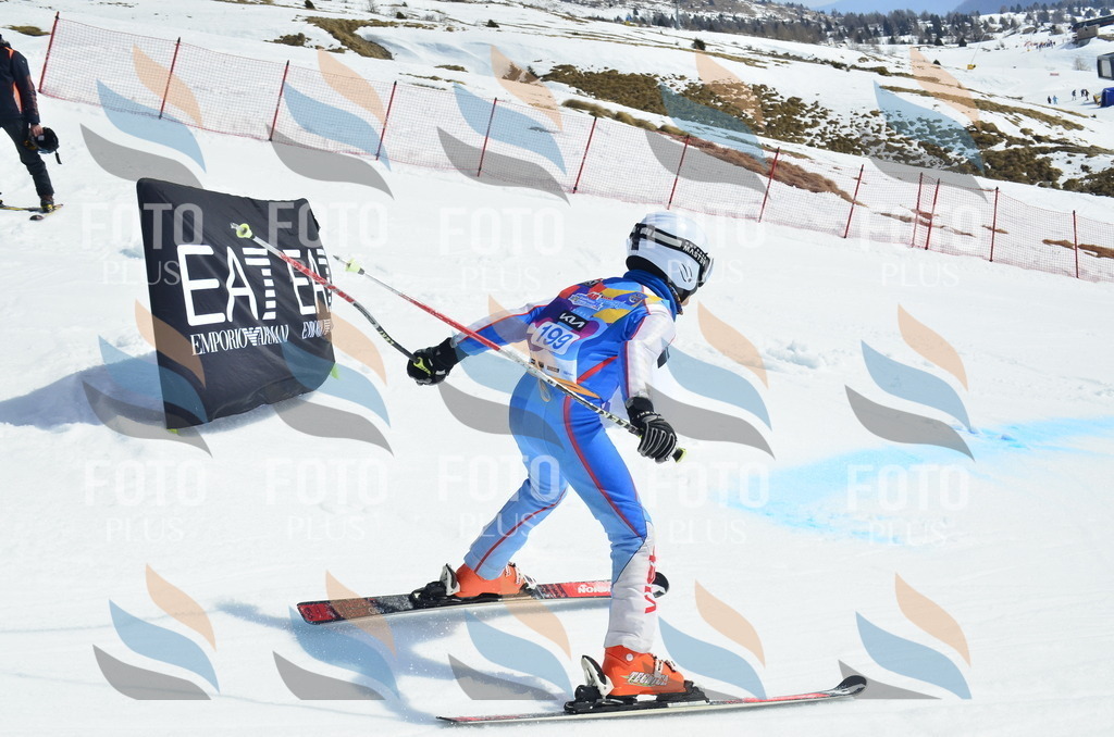 _ELE1361 | holidayphoto