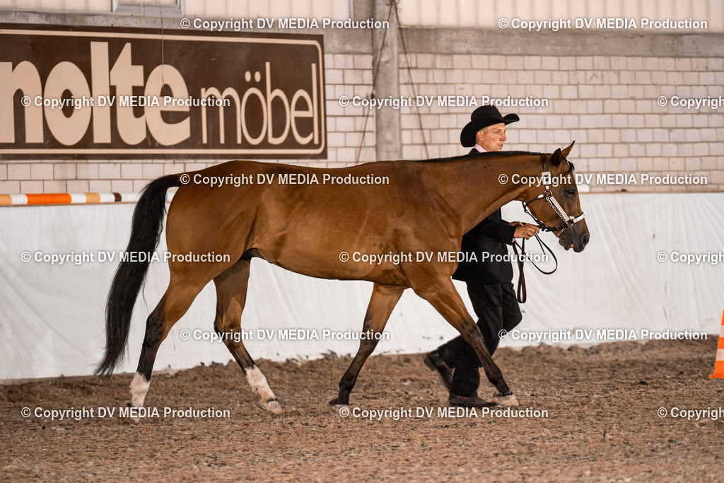 ZH200113 | dv-media-shop - Realisiert mit Pictrs.com