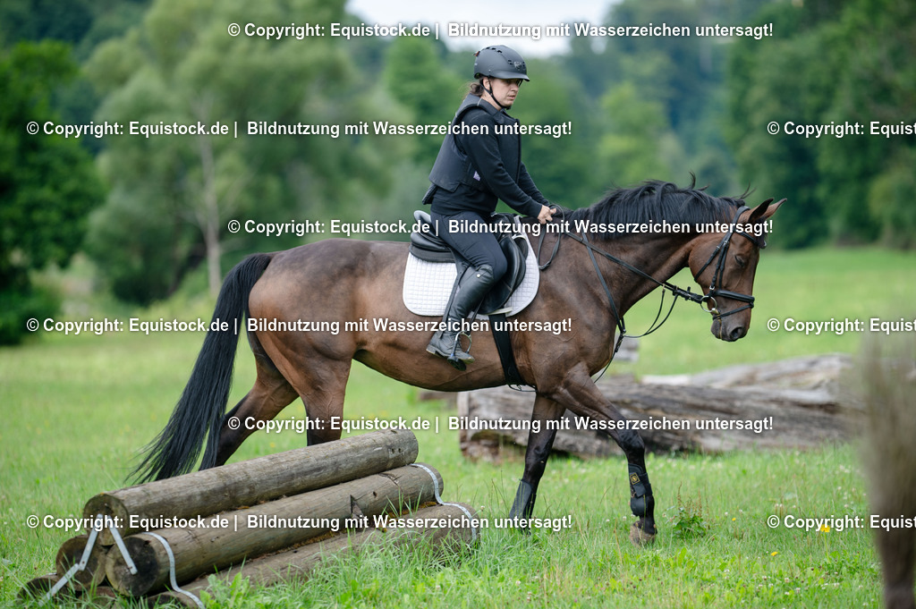 20250725_Vielseitigkeitslehrgang-Marbach_0069 | Foto: Thomas Hartig
