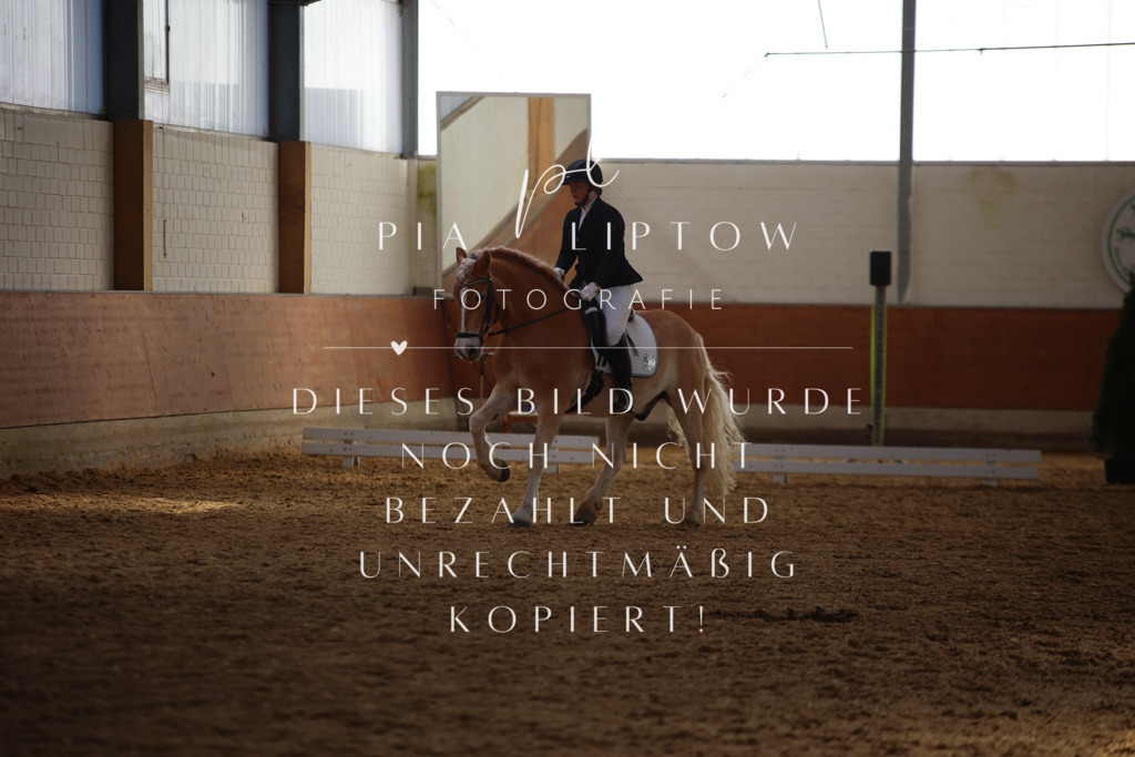 IMGT7344 | pl-fotografie