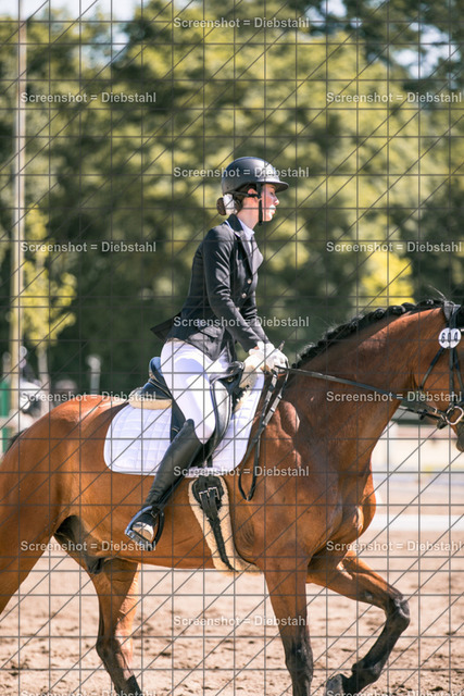 _W6A1930 | ronjaprokoschfotografie - Realisiert mit Pictrs.com