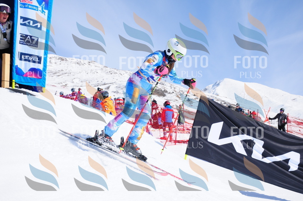 DSC_1155 | holidayphoto