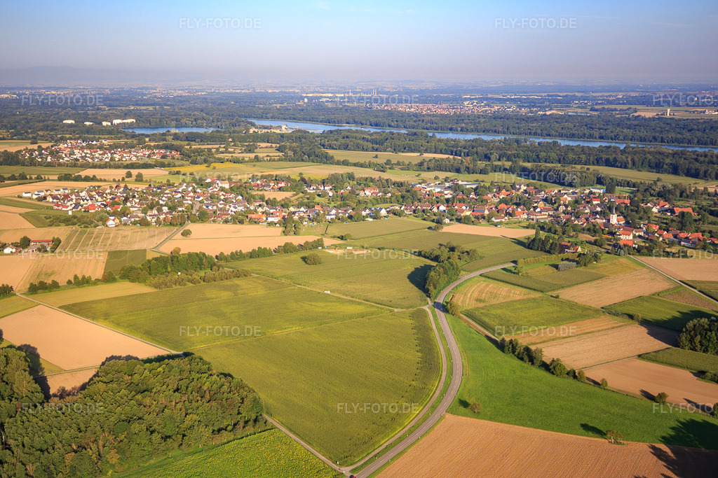 Luftbild: Ortsansicht von Nordosten im Ortsteil Diersheim in Rheinau im Bundesland Baden-Württemberg in Deutschland. Foto: IMG_093158.jpg vom 16.08.2016 durch Werner Riehm/FLY-FOTO.de