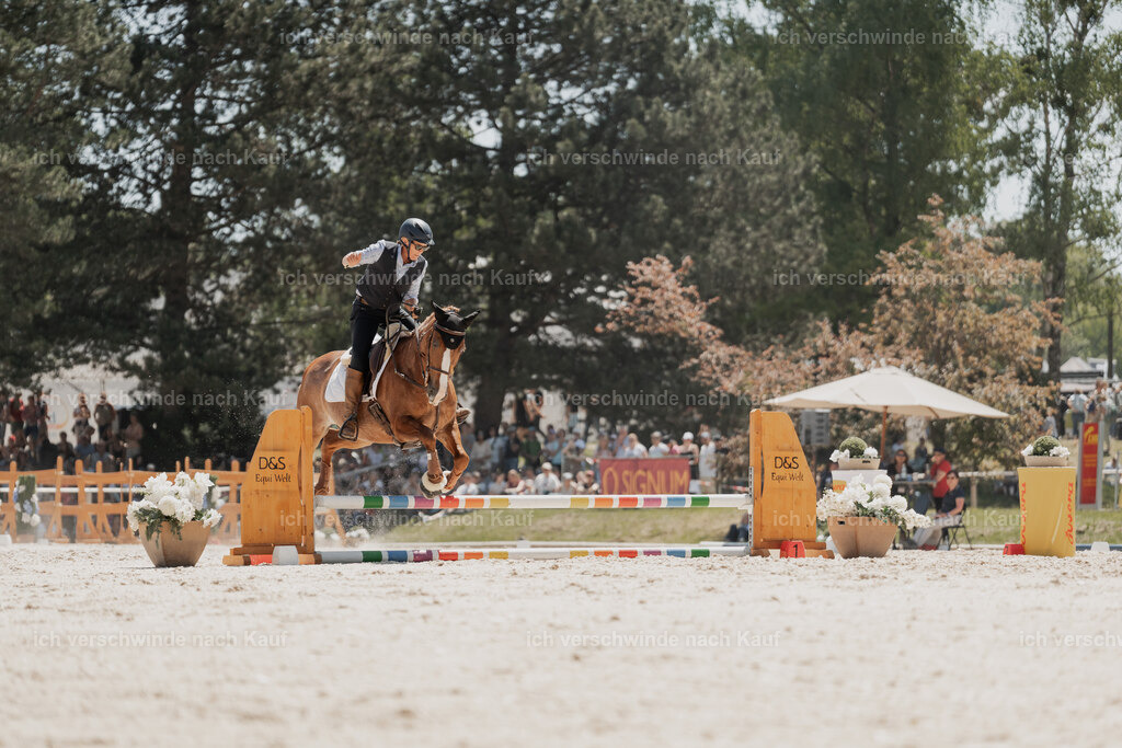 WE_SP_Stoib_323_PI2025_1909 | Pferd International München 2025