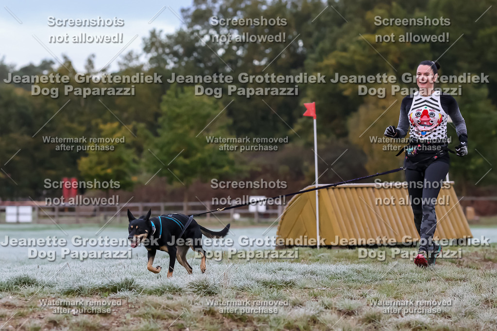 Dog Paparazzi - Strongdog 10-25-6097 | Dog Paparazzi Jeanette Grottendiek Fotografie & Videografie - Realisiert mit Pictrs.com