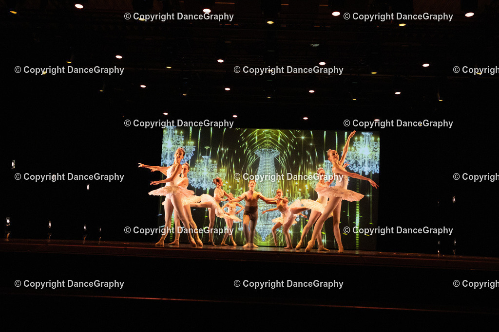 GPHY6529 | DanceGraphy - Realisiert mit Pictrs.com