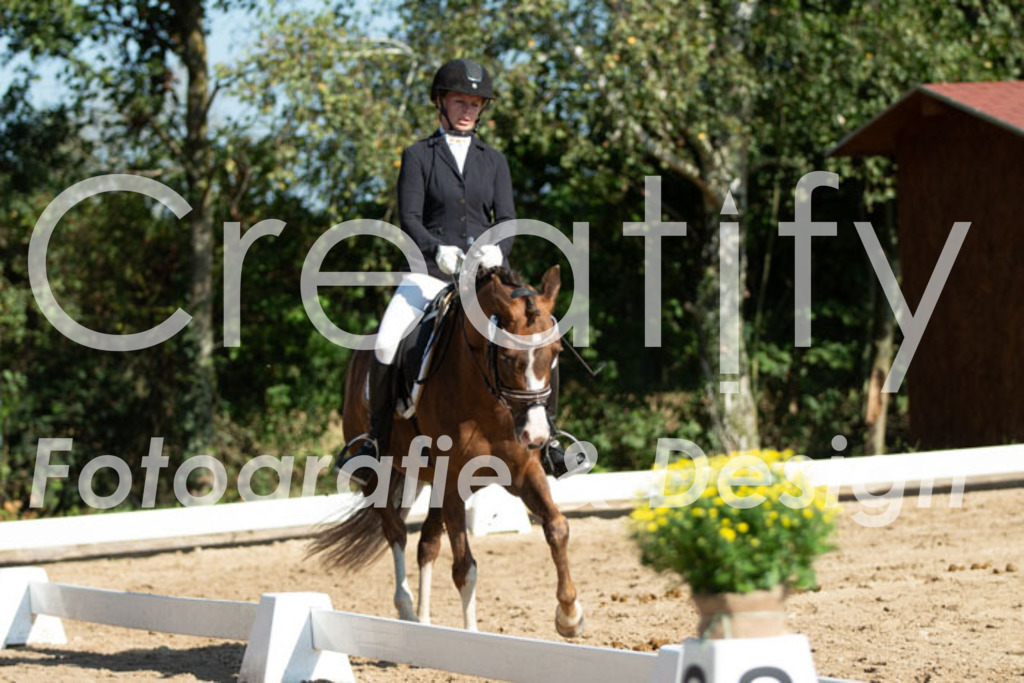 IMG_3078 | Creatify Fotografie