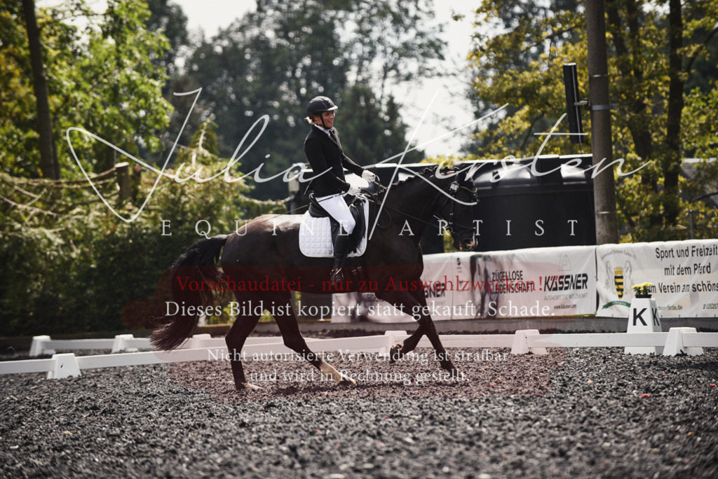 DSC_4261 | Pferde- und Turnierfotografie in Westsachsen. Pferdeportraits, Auftragszeichnungen und intuitive Kunst.