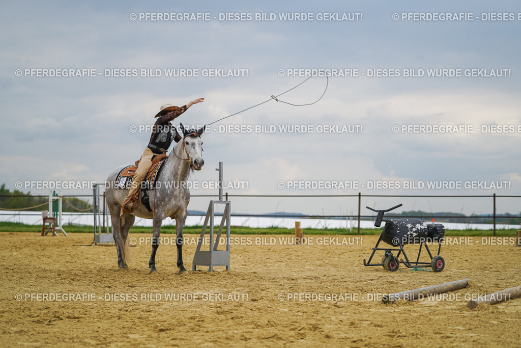 DSC07360 | Pferdegrafie