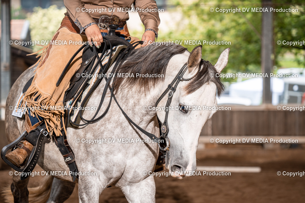 Erbach Tag 2-543 | dv-media-shop - Realisiert mit Pictrs.com