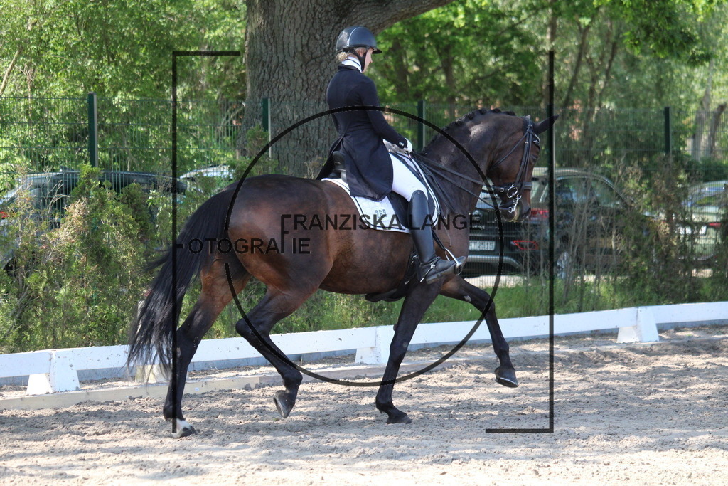 IMG_4944 | franziskalange - Realisiert mit Pictrs.com