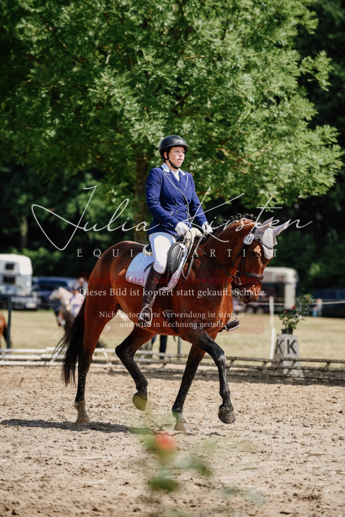 DSC_1198 | Pferde- und Turnierfotografie in Westsachsen. Pferdeportraits, Auftragszeichnungen und intuitive Kunst.