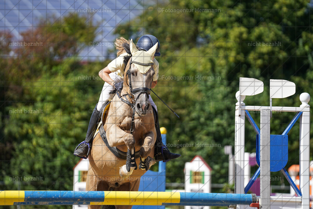 20240824-FAH08401 | Thierhaupten 2024, Bayerisches Landesponyturnier, Turnierbilder, Ponybilder, Turnierfotografen Bayern, Fotoagentur Herrmann