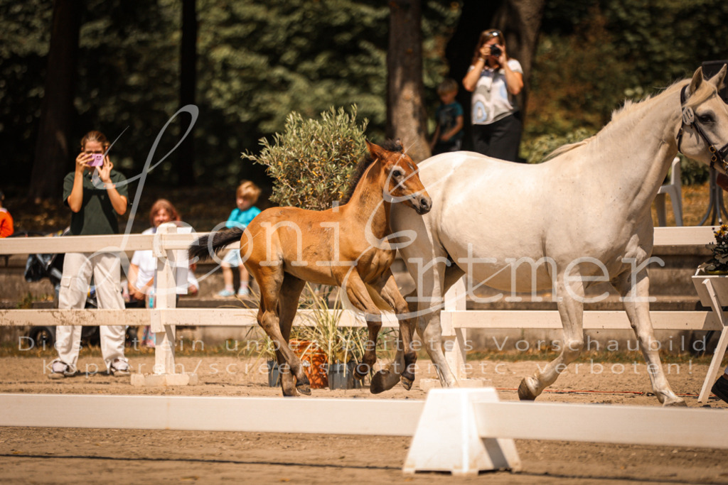 02.DoSR00149 | Leoni Ertmer Photography - Realisiert mit Pictrs.com