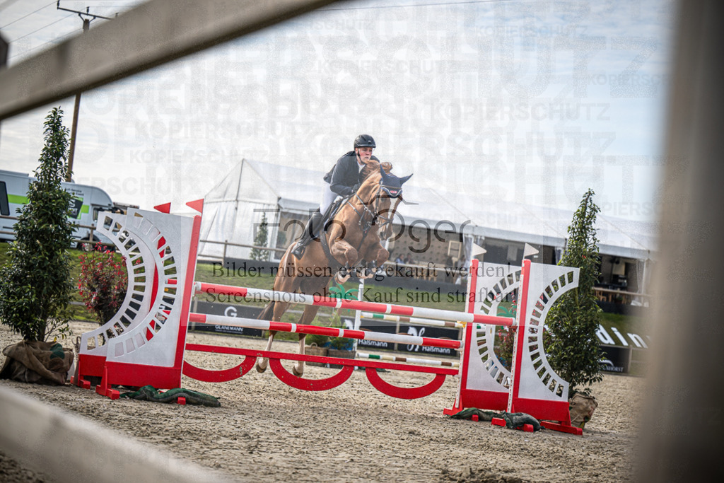 DOS_6283 | Entdecke hochwertige Reitturnierfotos von Foto Oger. Professionell, emotional und authentisch – jetzt Lieblingsmomente im Shop bestellen.Deutschlandweite Turnierfotografie. - Realisiert mit Pictrs.com