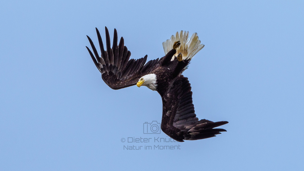 P1628526-LR | Natur im Moment - Realisiert mit Pictrs.com