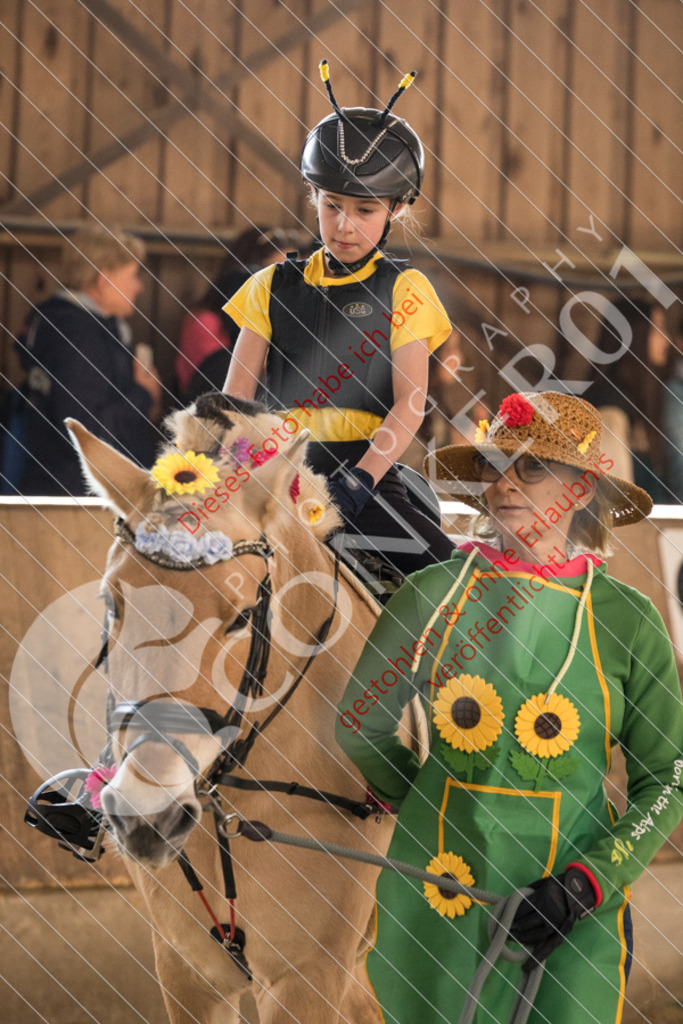 CON_6002 | Sport-, Event- und Tierfotos in Profiqualität. Einfach auswählen, bestellen und herunterladen. Dein Moment – perfekt festgehalten.