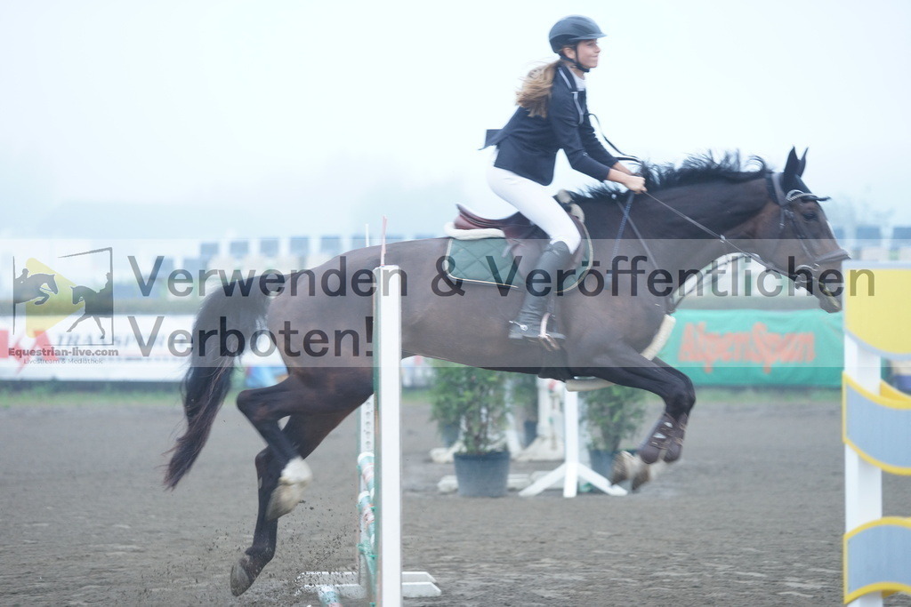 DSC08982 | equestrian-live-com