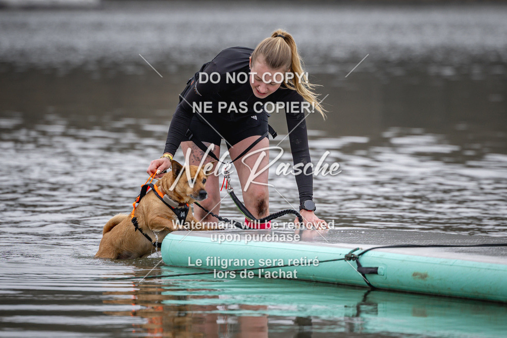 nelerasche_Hulsbeek_Sa1230-1330_634 | nelerasche