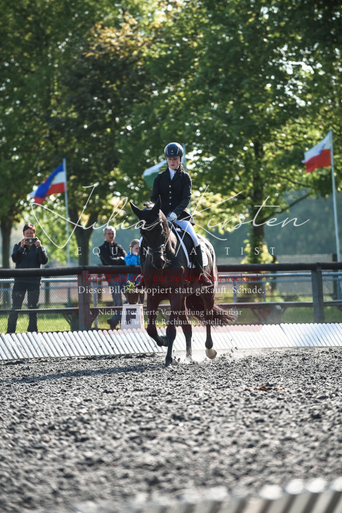 DSC_8321 | Pferde- und Turnierfotografie in Westsachsen. Pferdeportraits, Auftragszeichnungen und intuitive Kunst.