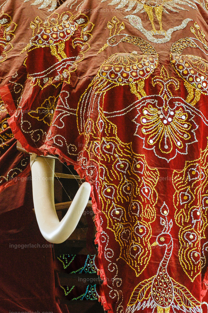 Schmuckdecke beim indischen Elefanten | Traditionell wird bei einigen indischen Festen dem Elefant der Kopf mit einer Schmuckdecke abgedeckt.