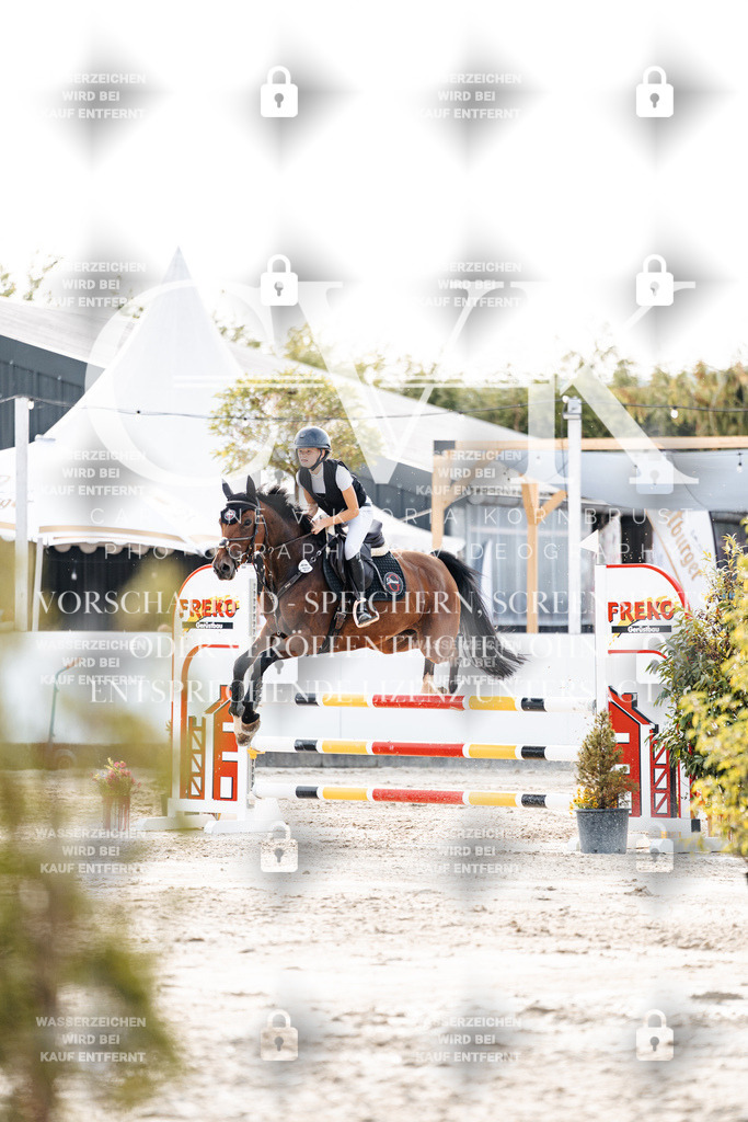 CK906982 | Turnierfotografie Pferdefotografie Trier Rheinland-Pfalz Pferdesport Reitsport Tierfotografie Sportfotografie Pferdevideo Pferdevideografie Equestrianvideography equestrianphotography  - Realisiert mit Pictrs.com