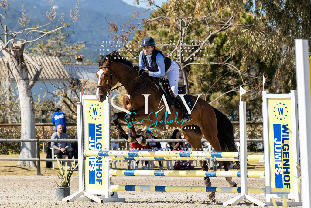 IMG_0178 | s-jay-photography - Realisiert mit Pictrs.com