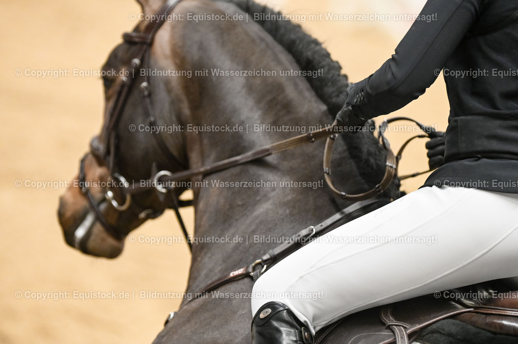 20260307_Hengstvorstellung-Marbach_0120 | equistock
