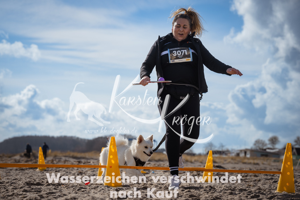 1313_ZZ90889 | kk-dogfotos