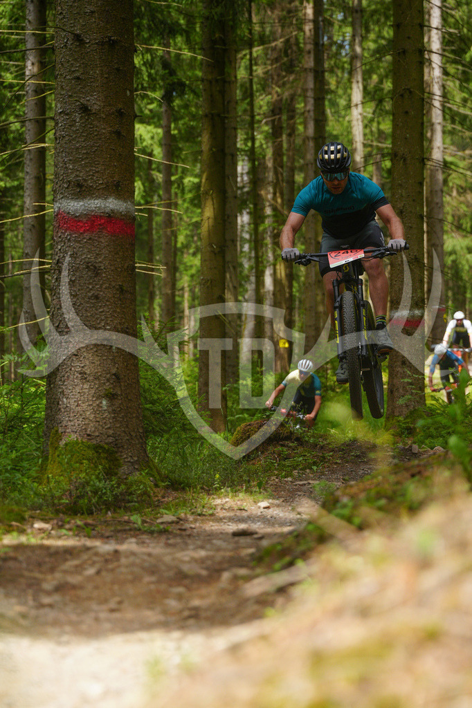 FC603690 | Fotogalerie der Treibjagd im Dunkelwald - Dein MTB Etappenrennen im Erzgebirge - Realisiert mit Pictrs.com