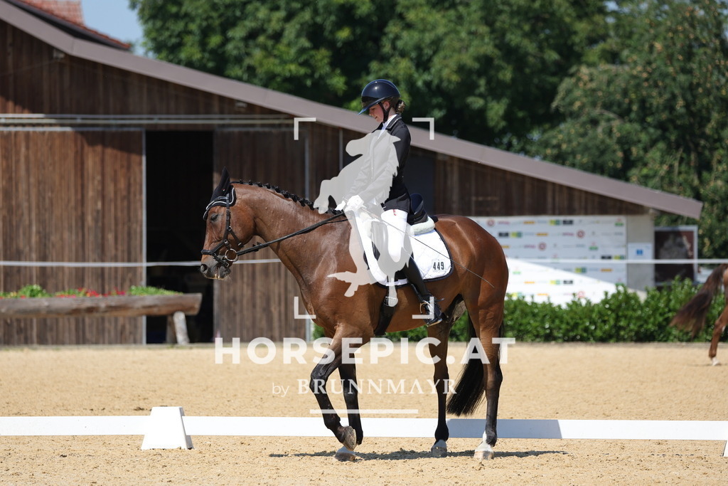 0P6A9919 | Willkommen bei Brunnmayr - Design & Fotografie – Ihrem Spezialisten für Reitturniere und Pferdeveranstaltungen in Oberösterreich, Salzburg und Bayern! Seit über 17 Jahren sind wir leidenschaftlich dabei.