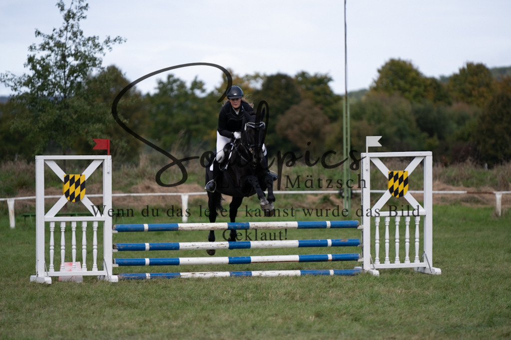 A7V06478 | Pferdefotograf